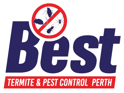 Best Pest Solutions Perth - Transparent
